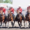 The Mounted Patrol performs the charge at the end of the Musical Ride.