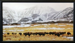 ‘In the Foothills,' a photo on canvas by Thane Vandereagan
