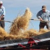 threshing demonstration