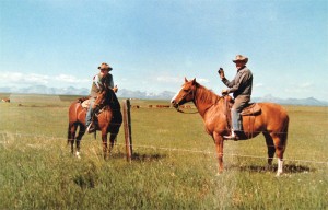 bill and henry