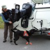 sniffer dog