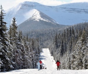 cameron lake trail