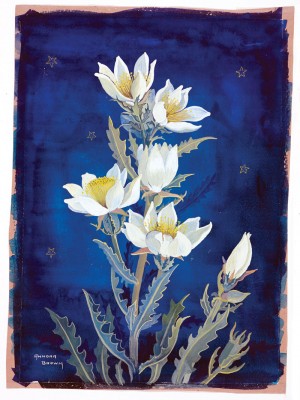 Annora Brown's painting of the Evening Star. Photo courtesy the Glenbow Museum.