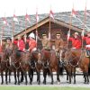 Mounted Patrol at The Fort