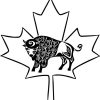 wilderness walk logo