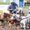 mini chuckwagons
