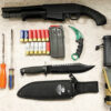 firearm and ammunition seized