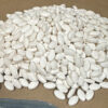 fentanyl seized