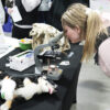 Country Vet booth