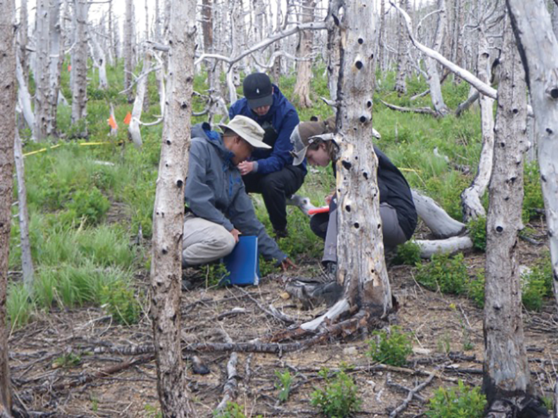 plant survey after kenow wildfire