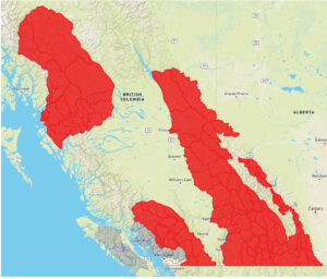 avalanche map