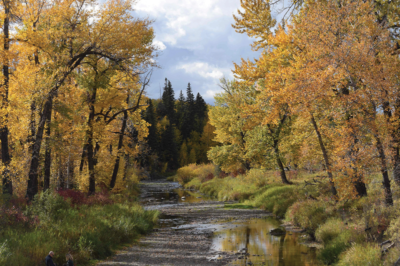 Oldman River valley