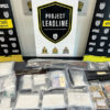 project leadline