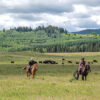 bob creek ranch cowboys