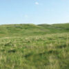 property in the Rosebud River
