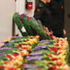 wreaths