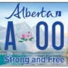 licence plate